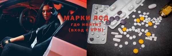 прущие грибы Абинск