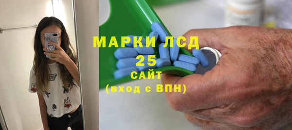 прущие грибы Абинск