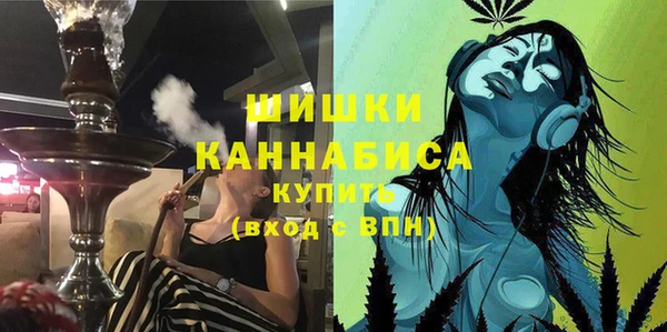 прущие грибы Абинск