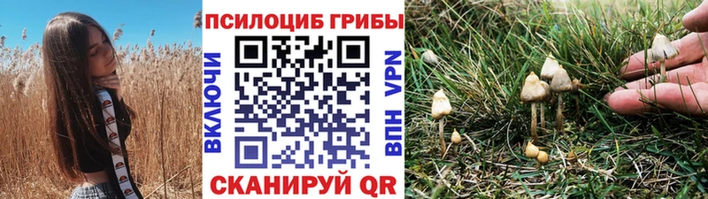 Псилоцибиновые грибы Psilocybe  купить наркотики цена  Нефтеюганск 